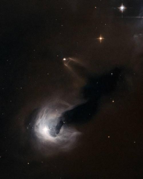 A "C" shaped white plume of gas forming a star, with other stars around it.