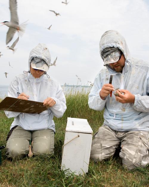 Undergraduates conducting research at Shoals Marine Lab
