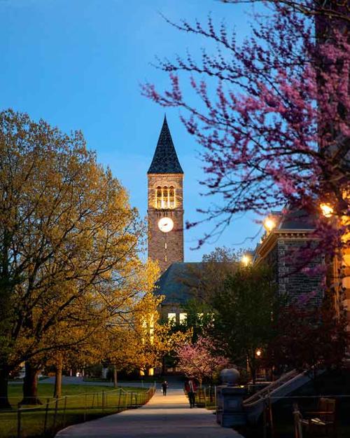 		Tower as seen from Mcgraw
	