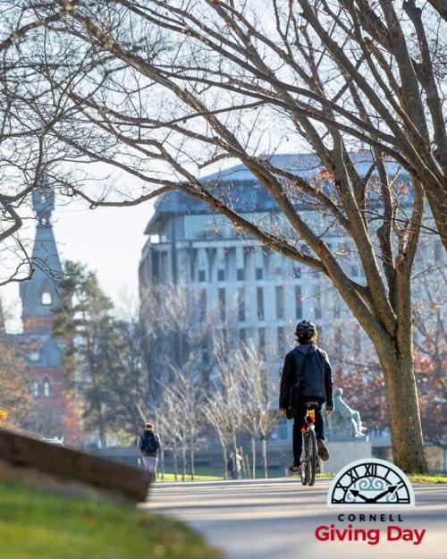 Student on bicycle