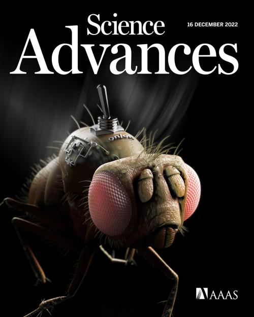 Cover of Science advances showing fruit fly whimsically drawn with an on-off switch on its back