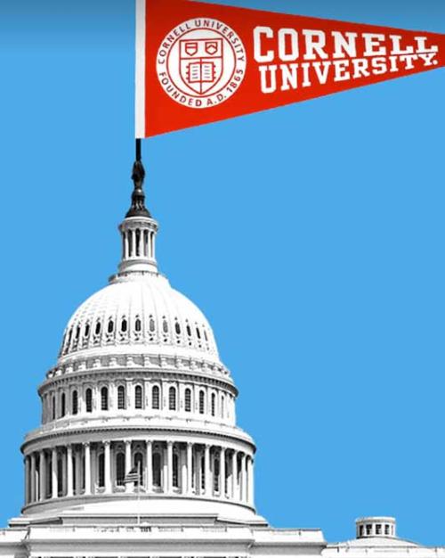 Illustration of the US Capitol Building against a bright blu background, a red Cornell University flag perched on top