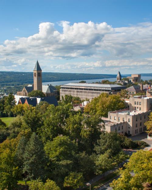 Cornell's central campus: stone buildings set among green trees with a blue sky above