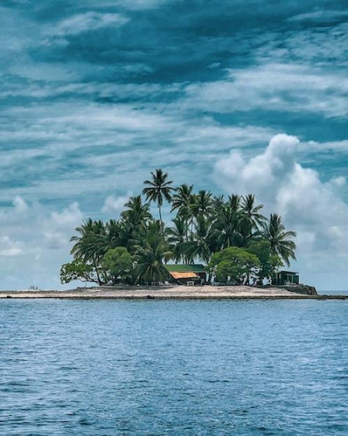 		tiny island sprouting palm trees and a few buildings
	