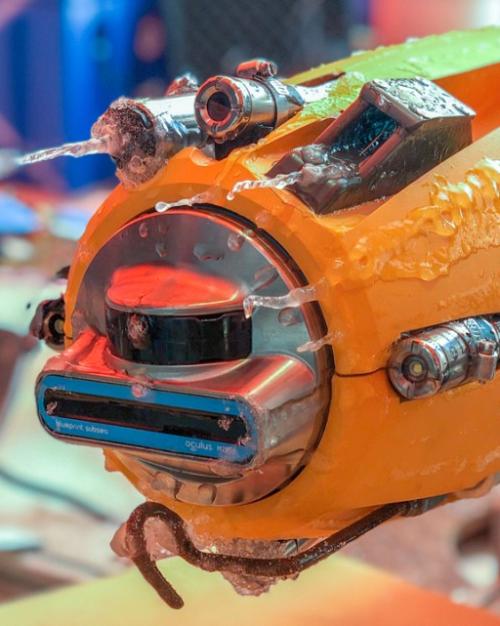 Orange tube-like machine covered with lice