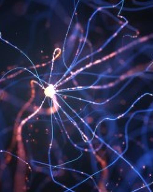 Role of hippocampus in two functions of memory revealed department of