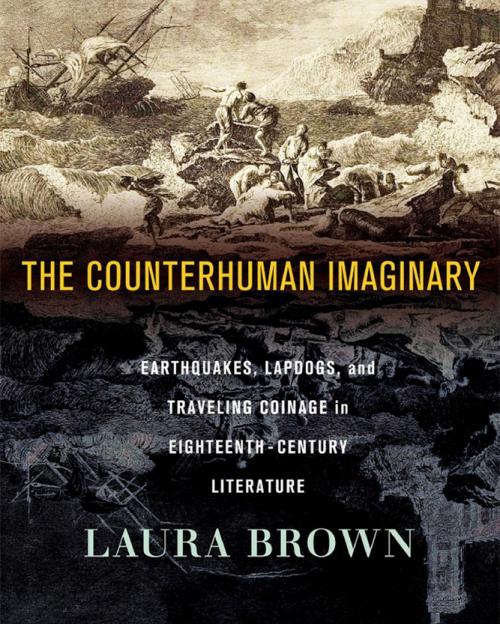 		Book cover: The Counterhuman imaginary
	