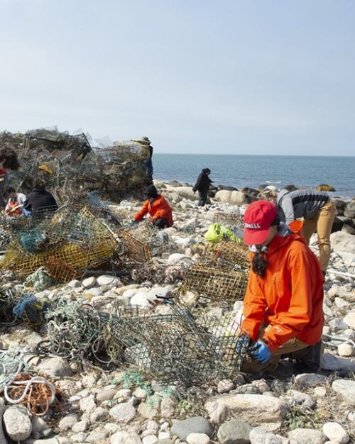 		Several people on a rocky beach in warm clothing, collecting trash
	
