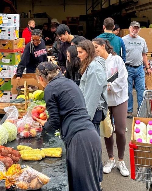 		People choosing food from tables; a shopping cart full of milk and vegetables
	