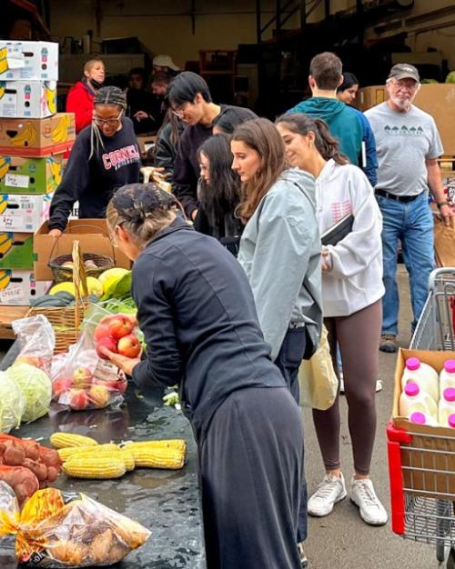 People choosing food from tables; a shopping cart full of milk and vegetables
