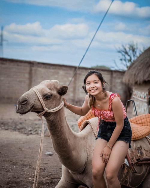 person with camel