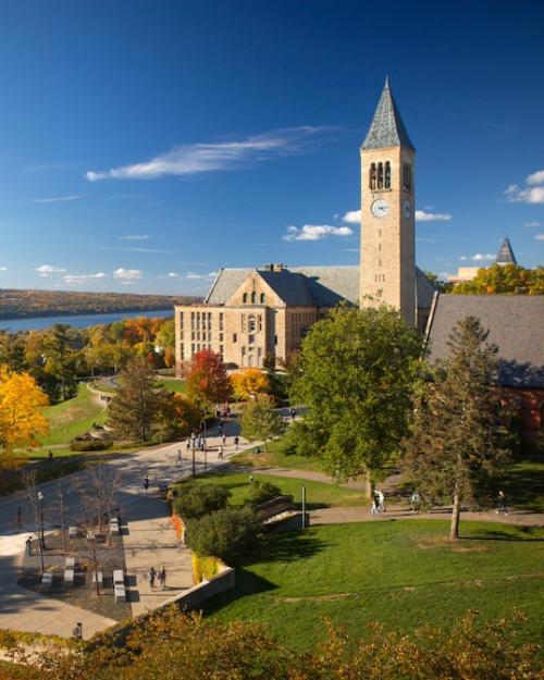 		College campus with stately buildings and green lawns under a blue sky, with a lake in the background
	