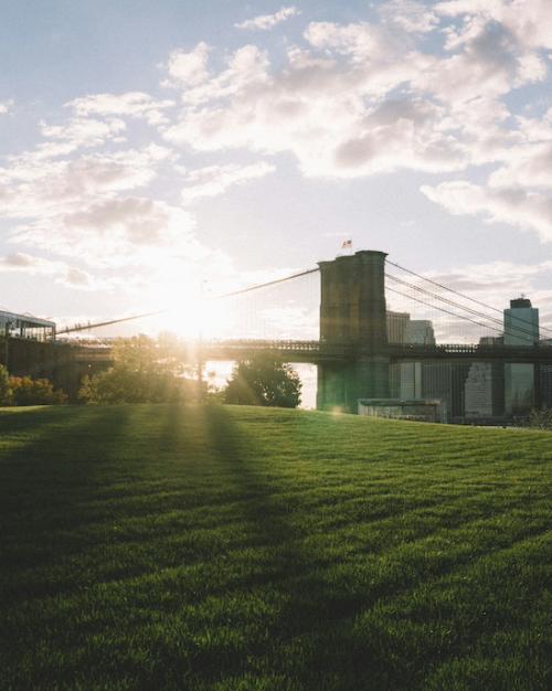 		Grassy field in front of a distant bridege at sunrise
	