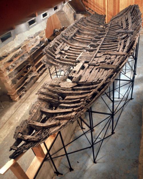 		Ancient ship underbody, just a skeleton of wood
	