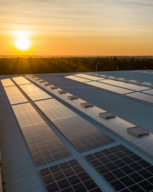 		solar panels under a sun rise
	