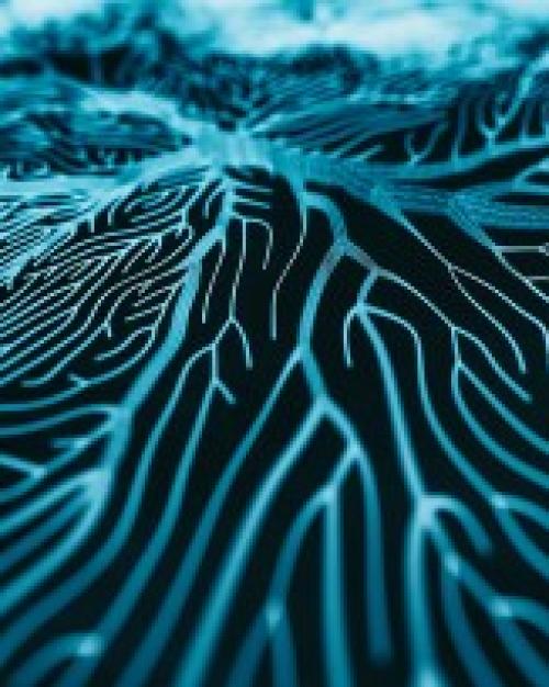 		Blue lines branching through a black background
	