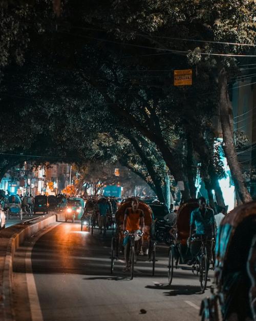 		Stree curving under trees at night with cars and bicyle carts
	