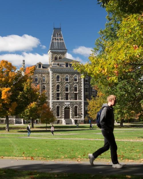 		Stone building on a college campus, seen from across a green lawn
	