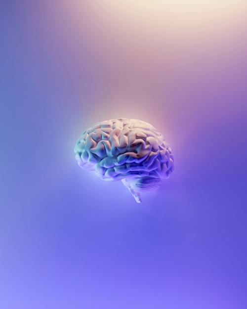 Illustration of a brain against a purple and blue background