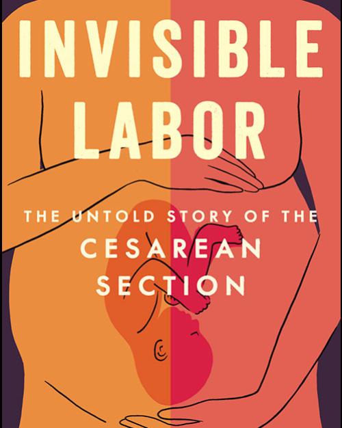 		Book cover: Invisible Labor
	