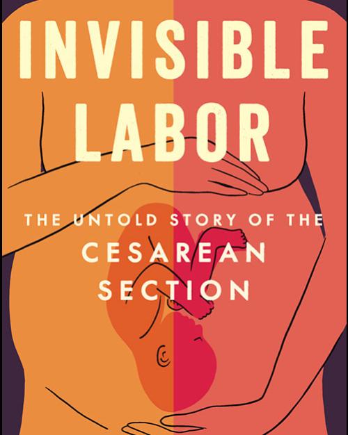 Book cover: Invisible Labor
