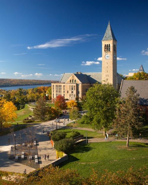 		Blue sky, clock tower, fall foliage on a college campus seen from above
	