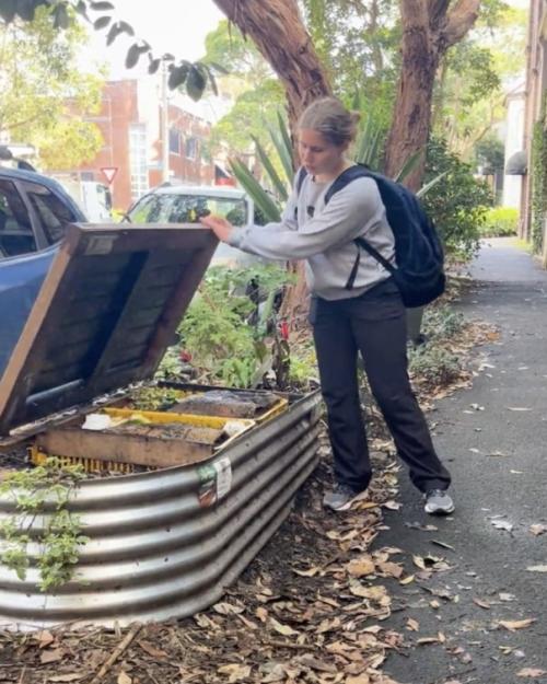 Person lifting the lid of a public compost container