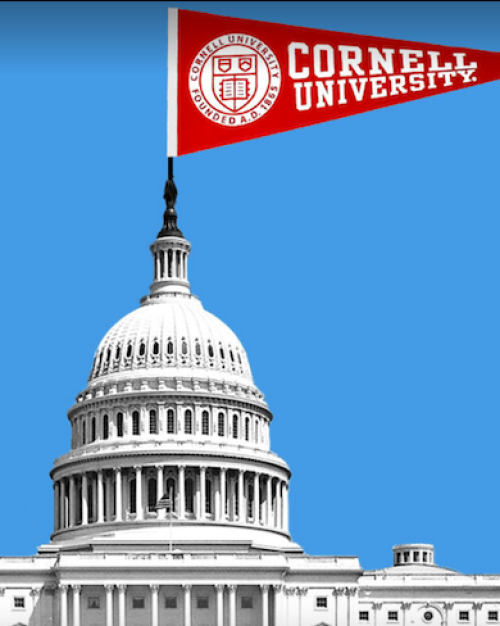 		Photo illustration of the U.S. Capital Building topped by a Cornell flag
	