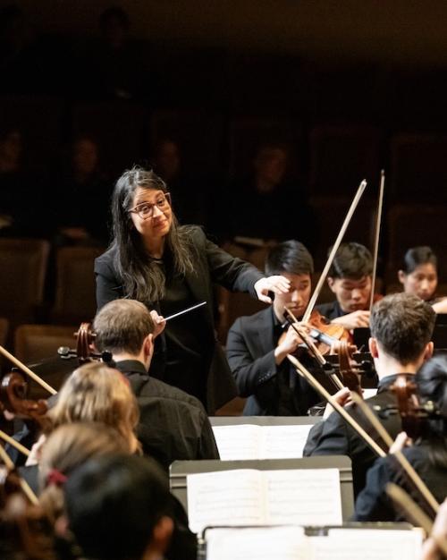 		A conductor directs an orchestra
	