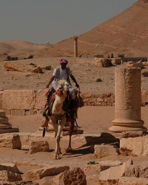 		A man on a camel with a red turban standing amidst ruins, with a broken column next to him and desert mountain sin the background.
	