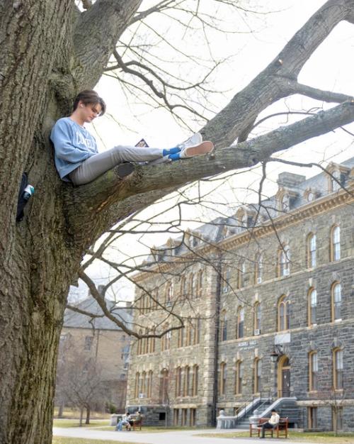 		Person sitting high in a tree, reading a book with a large college building in the background
	