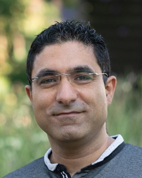 Shahal Ilani