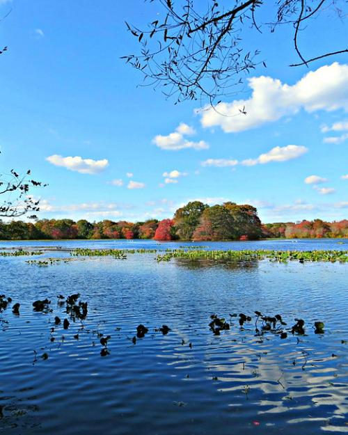 Lake in autumn 