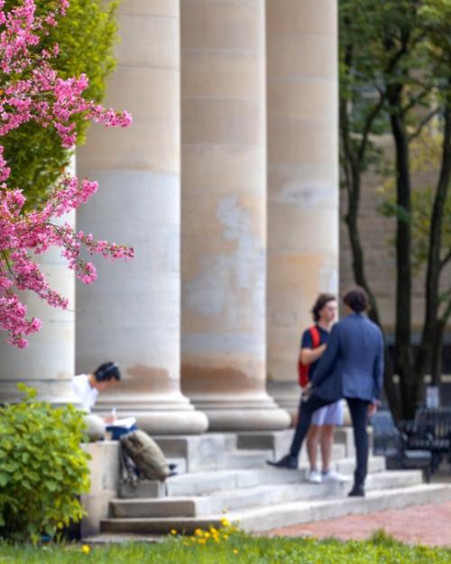 Pink flowering tree and a stone colonade with people on the steps