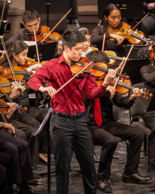 person playing violin