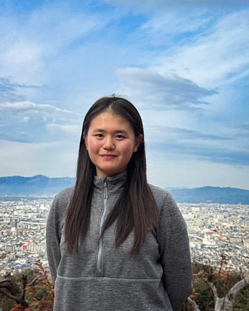 person standing on hilltop overlooking a city