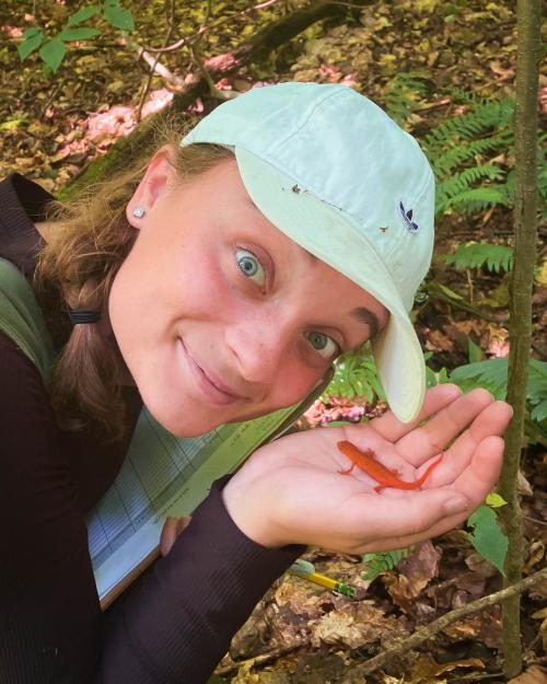 person holding a newt