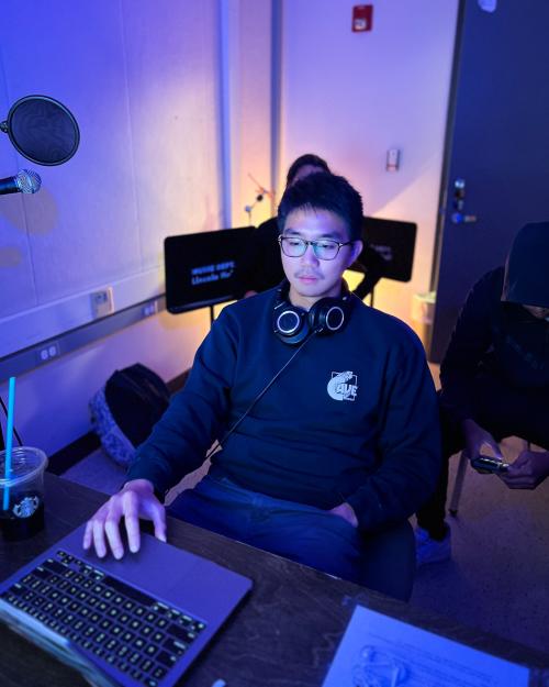 person looking at a computer