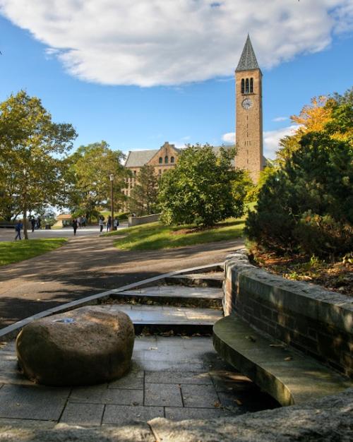 A decorative boulder in a shady stone plaza, with Cornell's McGraw Tower in the background