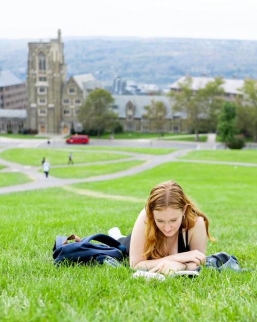 Person reading a book in grass at the top of a hill