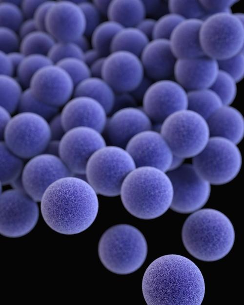 purple spheres representing bacteria