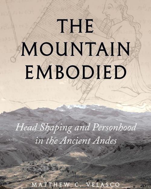 		Book cover: The Mountain Embodied
	