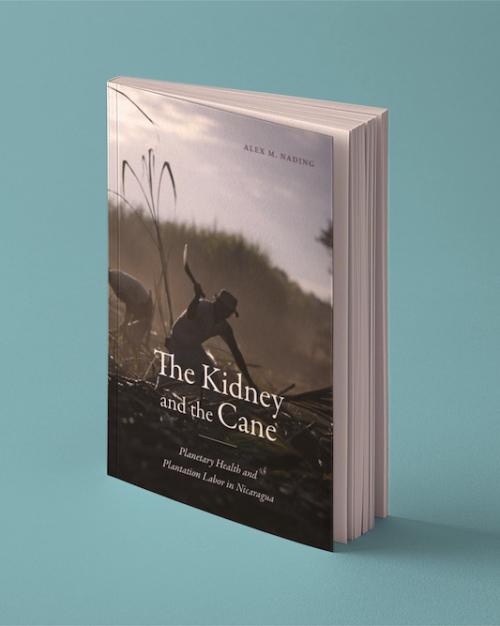 Book cover: The Kidney and the Cane