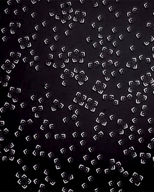 Hundreds of white corner-shaped particles on a black background