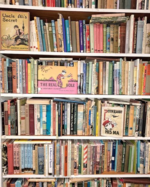 Shelves of children's books