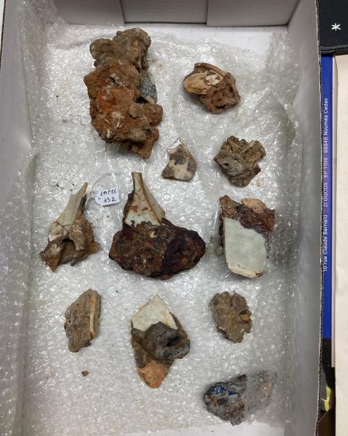 Agglomerations Art storage box containing 10 small objects: agglomerations from a shipwreck that combine human objects with ocean sediment