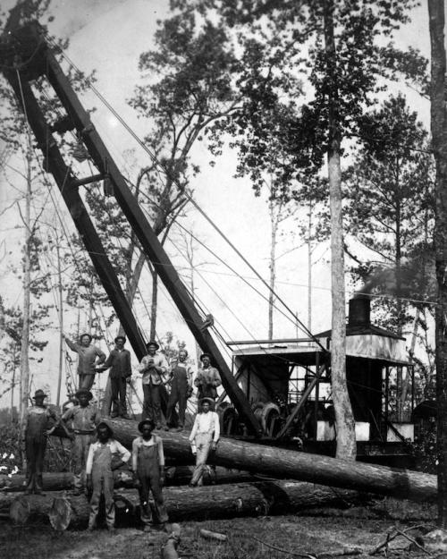 		historical black and white photo of about 10 lumber workers posing on a mechanized crane in the woods. They are standing on felled trees.
	