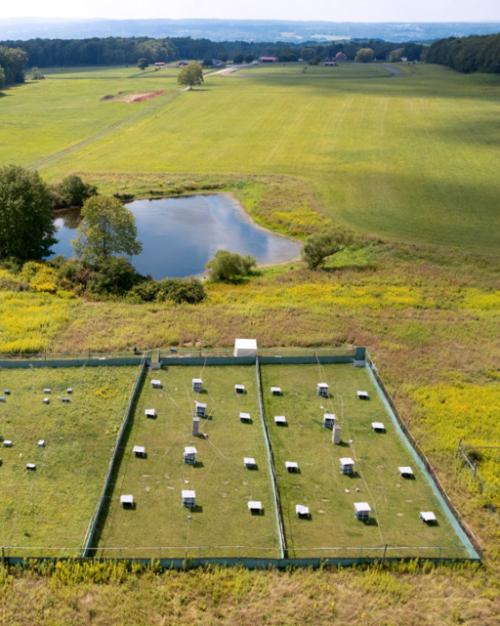 		Aerial view of a green field in summer, a distant view and a square marked on on the ground, set with small boxes
	