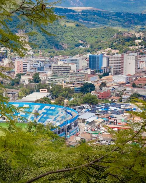 A city seen from a high vantage point, through a foreground of trees