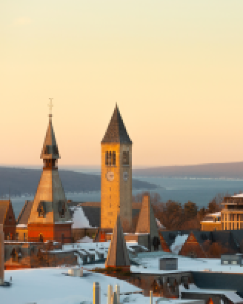 		Overlooking a college campus under a yellow sky at dawn
	